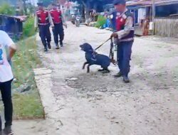 Terima LP Pencurian Emas, Polsek Kertapati Terjunkan Anjing Pelacak