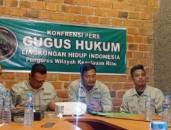 Reklamasi Pulau Kecil Disorot, GHLHI Kepri Desak Penegakan Hukum Lingkungan