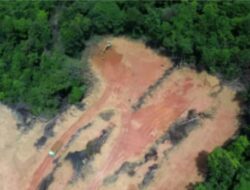Desak Penegakan Hukum, Akar Bumi Indonesia (ABI), Soroti Perusakan Hutan Lindung di Batam